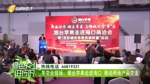 煙臺蘋果香飄海口 冬交盛會架起南北交流新橋梁